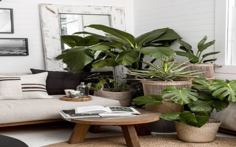 Wealth Position Feng Shui： Mastering the Feng Shui Essentials for Improving Wealth Fortune