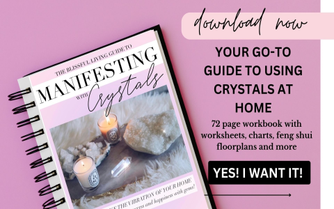 What software can I use to read feng shui books
