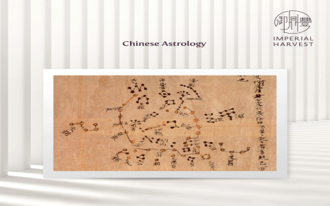 Analysis of the placement position of Pixiu ornaments in the Xuankong Feng Shui pattern