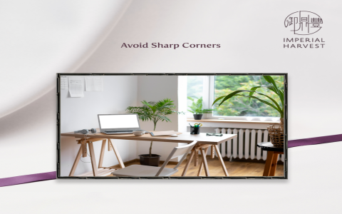 Unlock Career Success with Office Feng Shui: A Mysterious Layout Guide