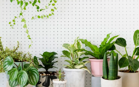 Unlocking the Secrets of Spatial Energy Regulation in Feng Shui: A Metaphysical Exploration