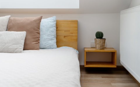The Mystical Influence of Cacti on Home Feng Shui: Cultivating Positive Energy