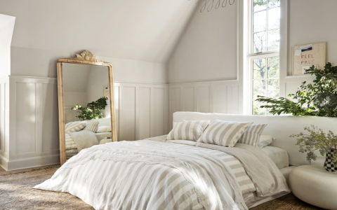 Unlock the Secrets of Feng Shui with Plants: Enhance Your Living Space